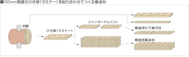 ■30mm程度のひき板（ラミナー）を貼り合わせてつくる集成材