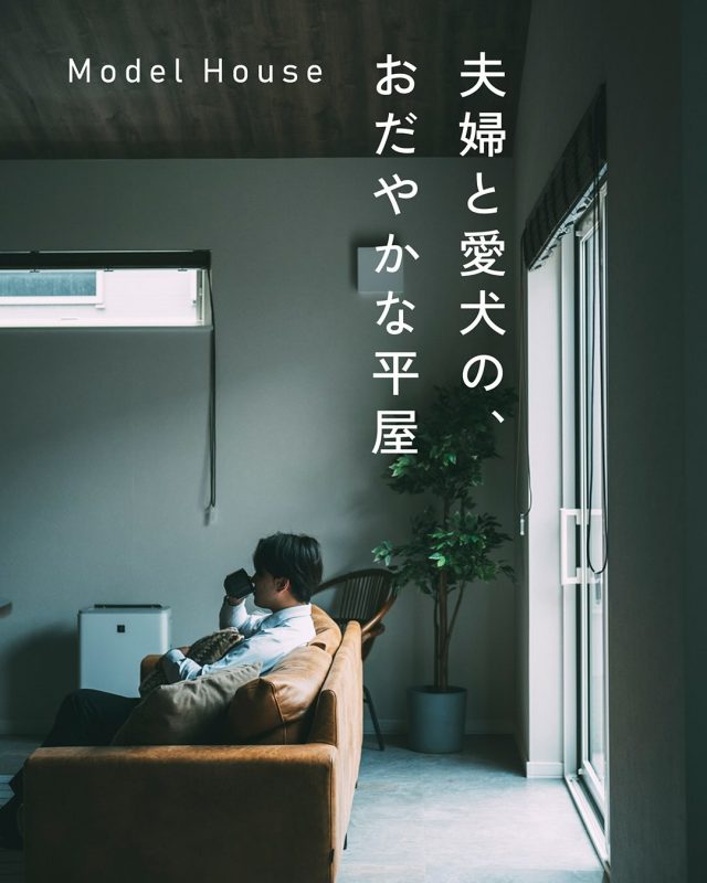 📍豊栄建設ショールーム
　（北海道札幌市北区新琴似7条9丁目6−18）
　モデルハウス　B棟
　夫婦と愛犬の平屋

▼見学予約はプロフィールから
@hoei999_official

豊栄建設のモデルハウス紹介。
いま注目の平屋のモデルハウス。
ご夫婦と愛犬の暮らしを華やかにする、
カフェのような空間です。

豊栄建設はこの他にもモデルハウスを各種ご用意しております。
詳しくはハイライト、もしくは豊栄建設のホームページからご予約ください♪

■対応可能エリア
札幌市、小樽市、岩見沢市、苫小牧市、江別市、千歳市、恵庭市、北広島市、石狩市、余市郡、南幌町、厚真町、安平町、むかわ町、白老郡、沙流郡、日高郡
※その他エリアにお住まいの方は別途ご相談ください。
＿＿＿＿＿＿＿＿＿＿
#豊栄建設 #工務店 #札幌工務店  #札幌新築  #札幌市注文住宅  #北海道工務店  #注文住宅  #新築一戸建て  #一戸建て  #マイホーム計画  #家事動線  #家事楽  #収納アイデア  #施工事例  #こだわりの家  #家づくりアイデア  #ダイニング #キッチン #折り下げキッチン #家事楽 #ペンダントライト