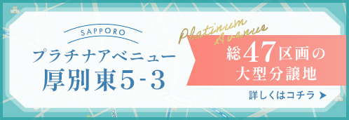 札幌市厚別東にニュータウン誕生！
